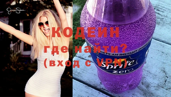 прущие грибы Гусь-Хрустальный