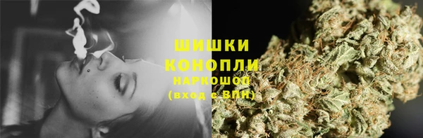 спайс Дмитриев