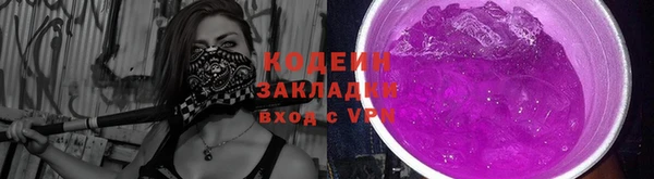 прущие грибы Гусь-Хрустальный
