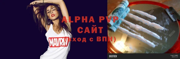 прущие грибы Гусь-Хрустальный