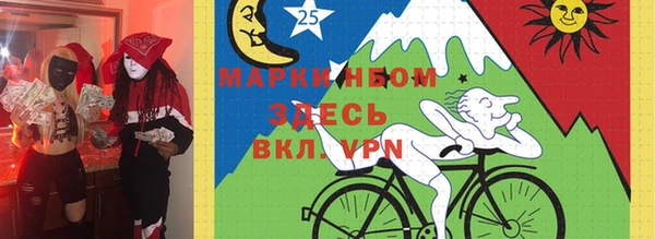 прущие грибы Гусь-Хрустальный