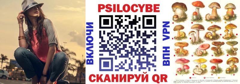 Купить где  Каргополь  Галлюциногенные грибы мицелий 